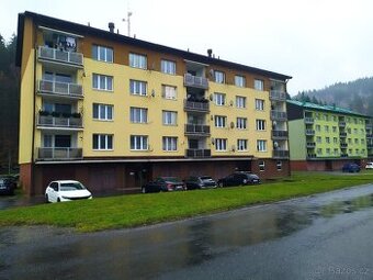 Pronajmu garsonku
