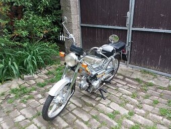 JAWA BETKA
