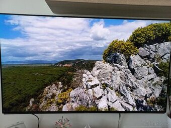 55" Panasonic TX-55GZ950E