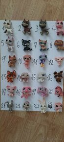 LPS dogy, SHC