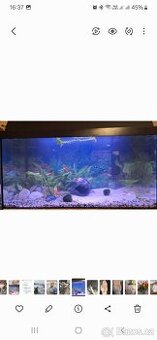 Akvarium s krytem