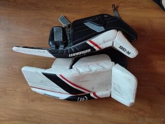 Betony warrior junior 30+1 - 1
