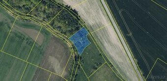 Prodám lesní pozemek v k.ú. Uhersko , okres Pardubice - 1