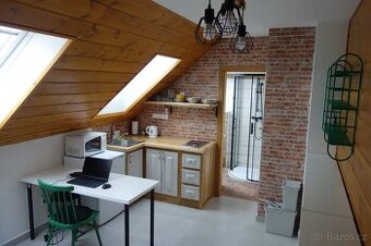 Pronájem 1kk (24m2)