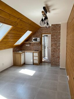 Pronájem bytu 1kk (24m2)