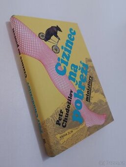 NOVÁ kniha Cizinec na pobřeží krásný dárek