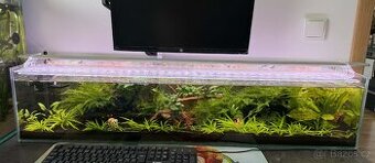 Zajeté krevetárium