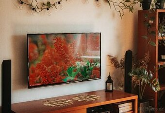 4K Smart TV Panasonic 49" (124 cm)
