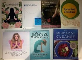 Ajurveda, joga, detox, meditace