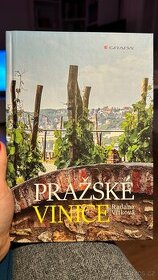 Pražské vinice - 1