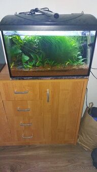 Akvárium 60l