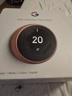 Google Nest
