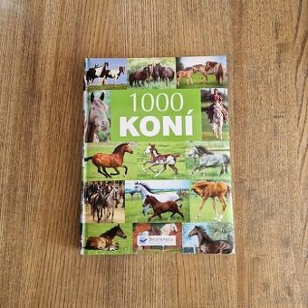 1000 koní (2007)