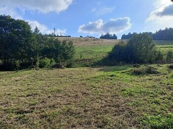 Prodej stavebního pozemku Valštejn (Město Albrechtice).