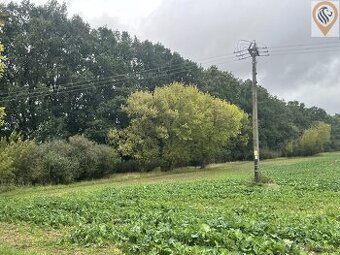 Prodej orné půdy o rozloze 7 001m2