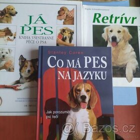 Co má pes na jazyku, Retrívr, Já pes - 1