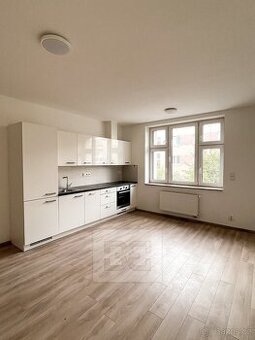 Pronájem nového bytu 1kk Plzeň-Lobzy, ev.č. N08365