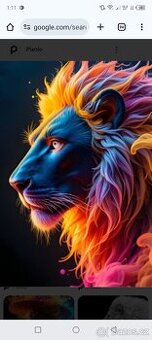 Médium -osobní výklady