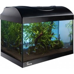 Prodám tyto různé akvária pro rybičky