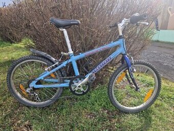 Dětské kolo Author Cosmic 20