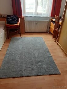 Malý šedý koberec