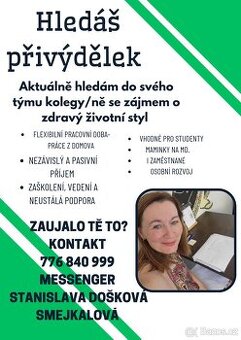 Práce z domova