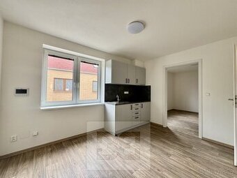 Pronájem 1/2 kapacity ordinace, 50 m2 - Střelice