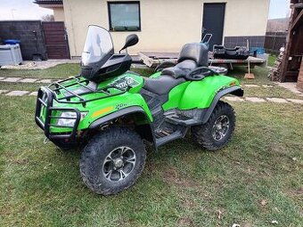 Arctic cat
