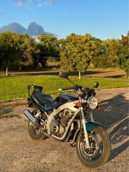 Suzuki gs500e