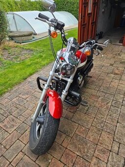Harley Davidson Sportster 1200 Custom