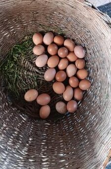 Domácí vajíčka