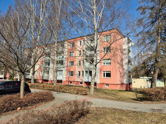 Pronájem bytu 2+1 v Šumperku