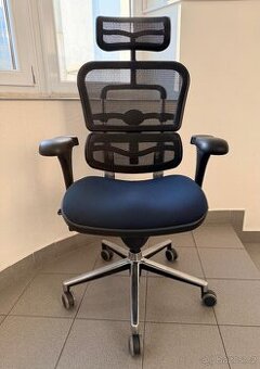 kancelářská židle Ergohuman