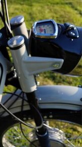 Jawa mustang