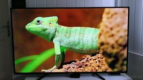 Smart LED Full HD TV 65" Changhong + ext. repro