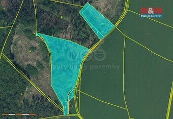 Prodej lesa, 19927 m², Dobruška