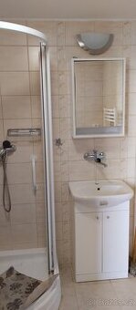 pronajem bytu 2+1 s Balkonem