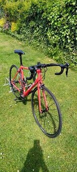 Trek Ěmonda ALR 4