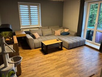 Hledám náhradního nájemce – byt 2+1, 74 m² v krásném stavu