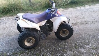 Dětská Suzuki LT 80