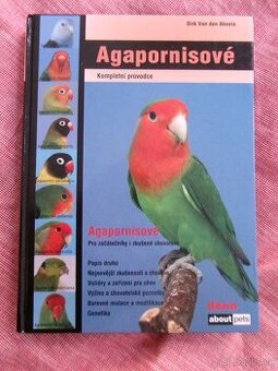 Agapornisové - Dirk Van den Abeele.