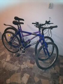 Horská kola Engine 2 ks