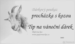 Dárek na Vánoce - procházka