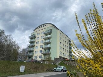 Prodej bytu OV 1+kk, Zelené Údolí, Liberec