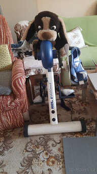 Motomed Reck Viva 1 s tyčí na zapření invalidního vozíku. - 1