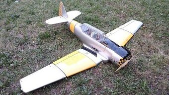 AT-6 Texan Black horse