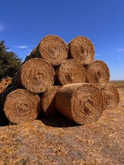 Pšeničná sláma 120cm