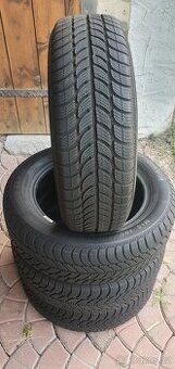 Zimní pneu Sava 185/60/15