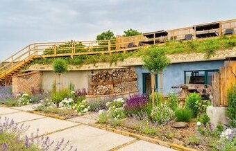 Pohádkové (hobití) apartmány Buchtovín – víno, klid, Pálava