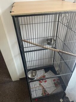 Klec po Rozetě penantovi